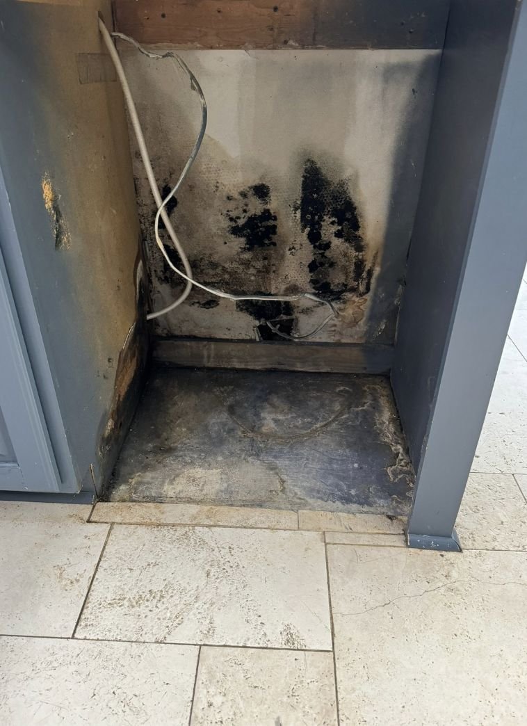 Mold growth found after an unaddressed burst pipe in a Charlotte NC home